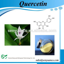 Quercetin 117-39-5 Behandlung für Expektorans / Husten / Blutdruck